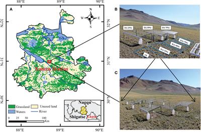 Responses of soil bacterial communities to precipitation change in the semi-arid alpine grassland of Northern Tibet